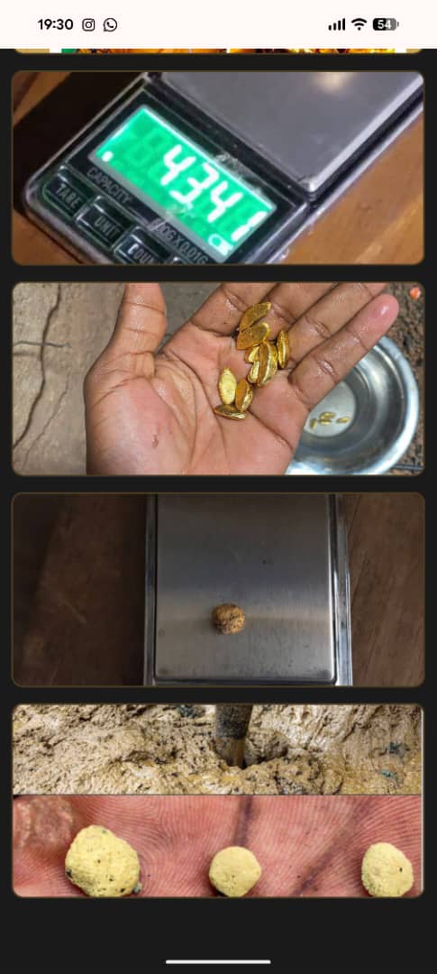 Binôme Gold